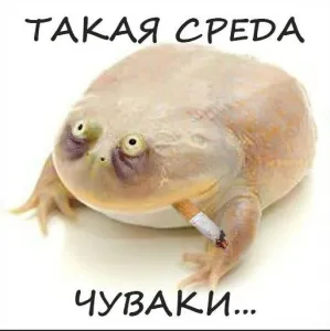 It's Wednesday my dudes!