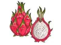 Тестируем еду