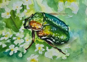 Мои работы. Акварель