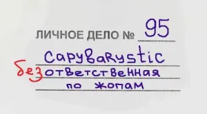 Должностные обязанности