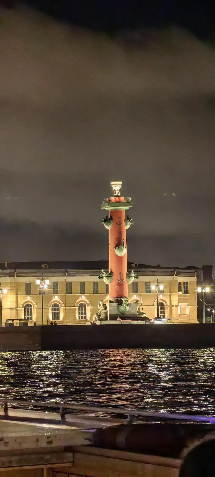 Жопки котов