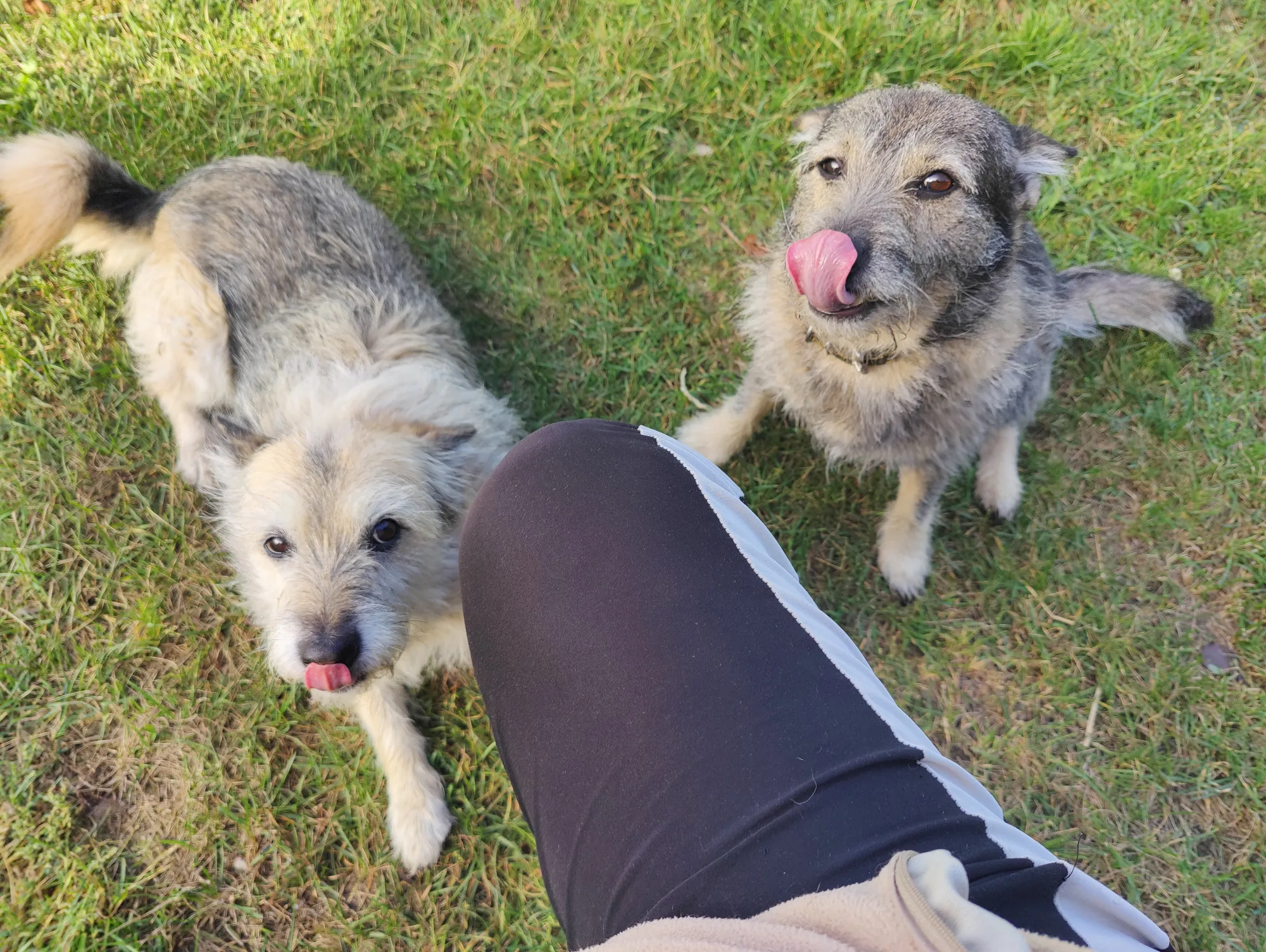 Эротизьма вам в ленту