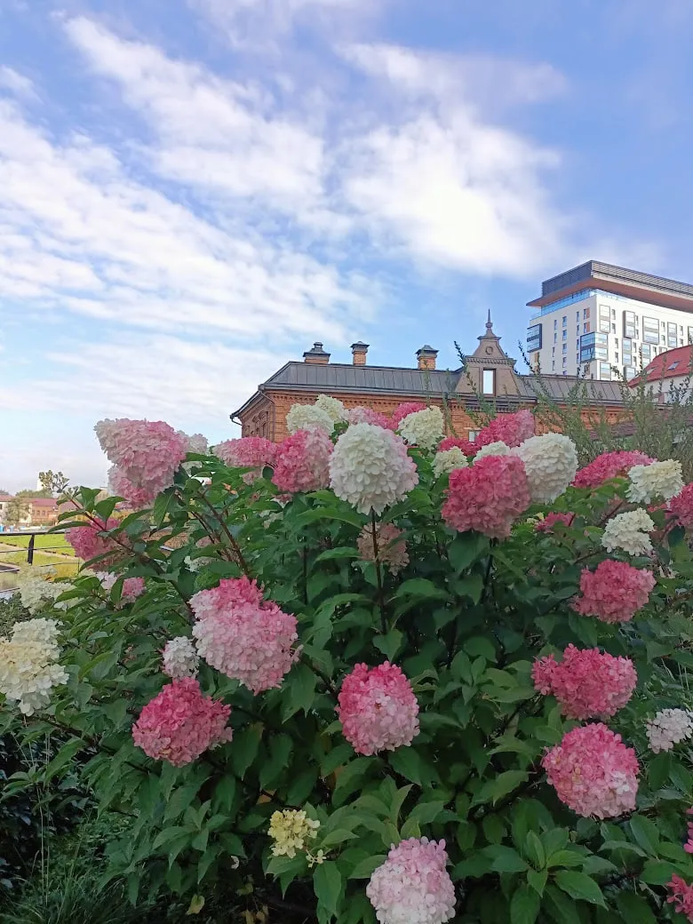 Фото-референс