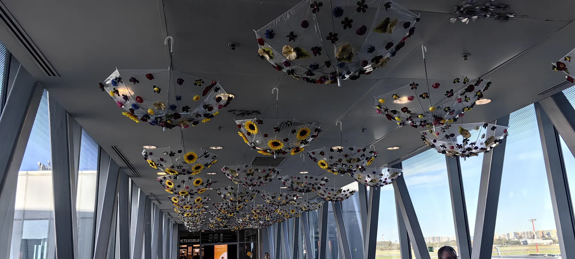 В аэропорту увидели зонтики