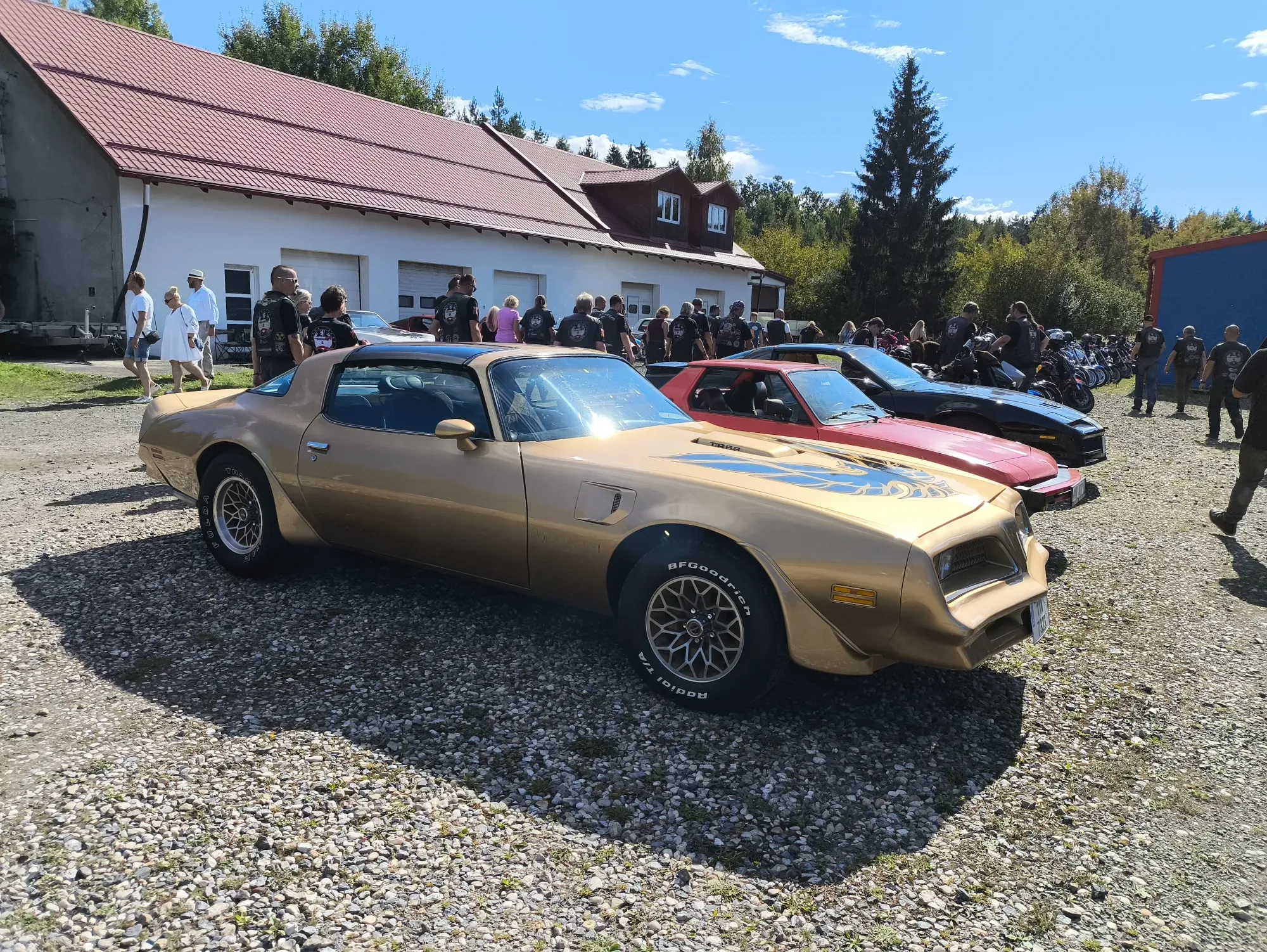 Эти прям клевые