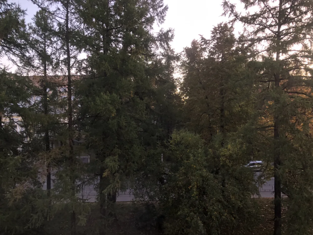 Примечательно, что это самый, что ни на есть, центр города. При этом напротив никаких окон) &nbsp;за деревьями дорога, за дорогой парк, а дальше за парком городской архив - идеальные соседи 🤣 ну и вдали слева виднеется «госпиталь ветеранов» но он ночью тоже не отсвечивает практически, и виден только если в упор к окну подойти… &nbsp;