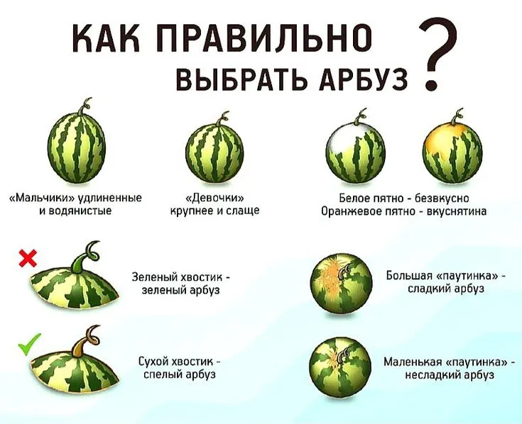 Я выбираю по этому принципу, как на картинке) и всегда без промахов)