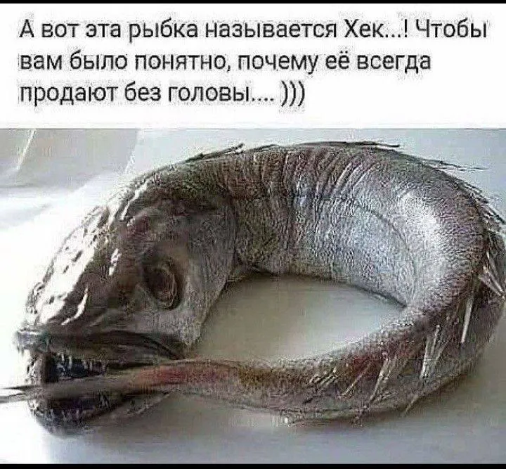 Тег "жесть" нужен? 🤔