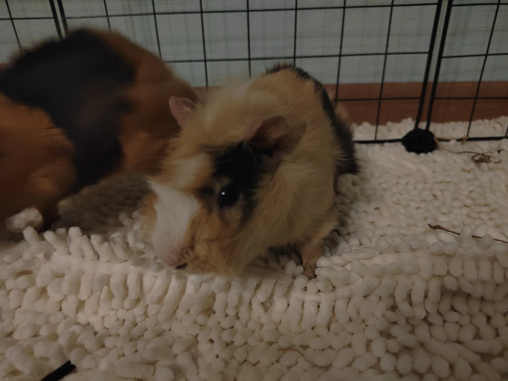 Передают благодарность! Спасибо!!