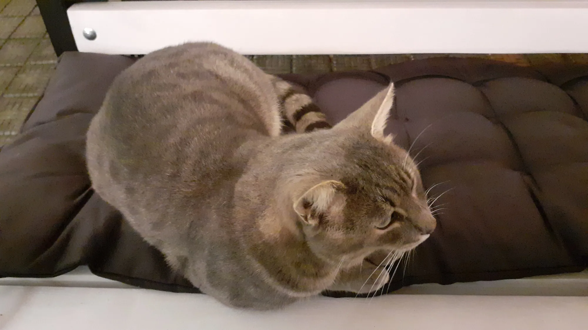 директор кафе Якорь. Пришёл к нам, посидел час, ушёл по делам))