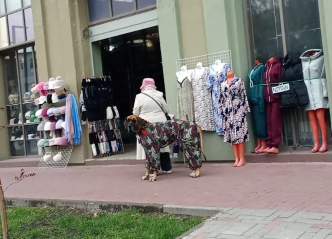 Стильная пара))