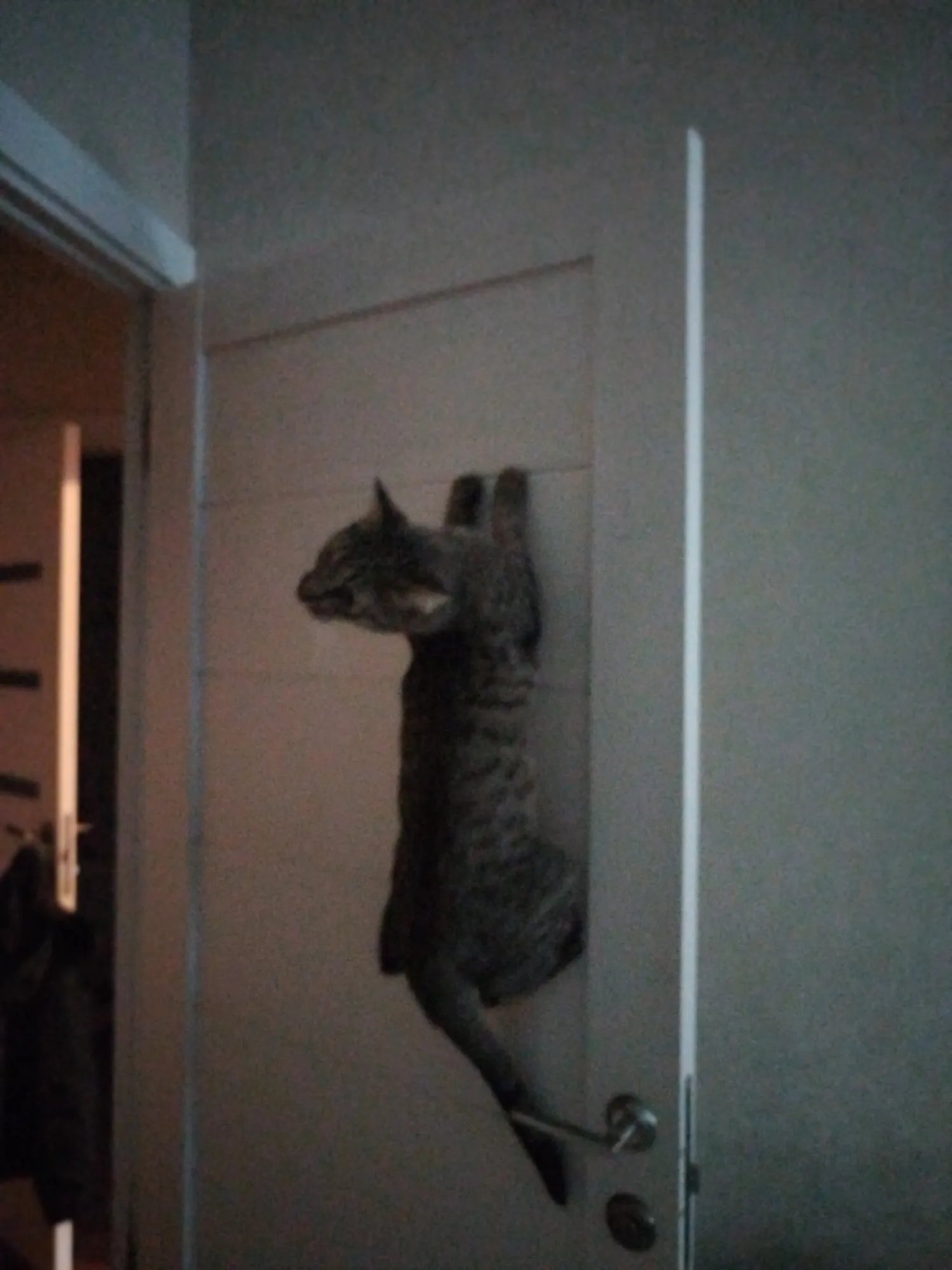 вызывайте экзорциста!&nbsp;