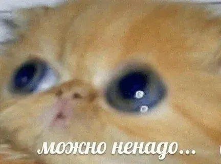 можно дальше ненадо....