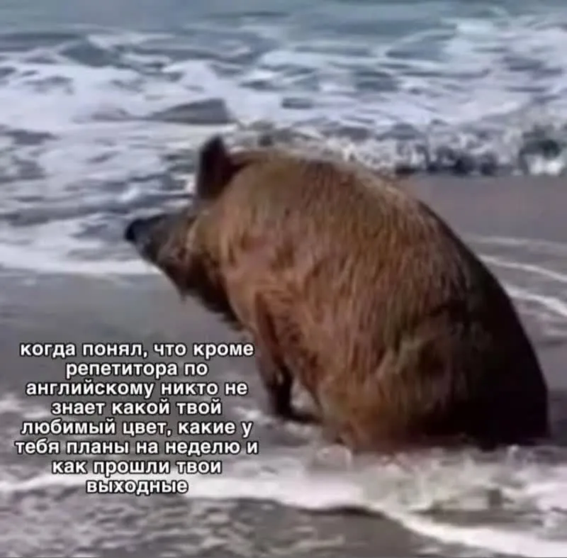 <a class="mention" href="https://lispublica.ru/user/kimpokom" data-type="user" data-user-id="16">@kimpokom</a>