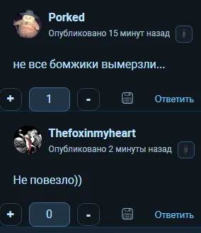 можно и так сказать