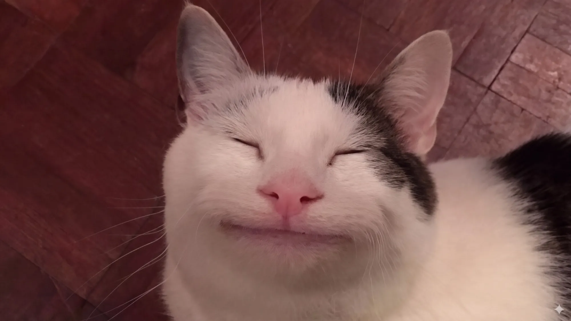 ну гля какой