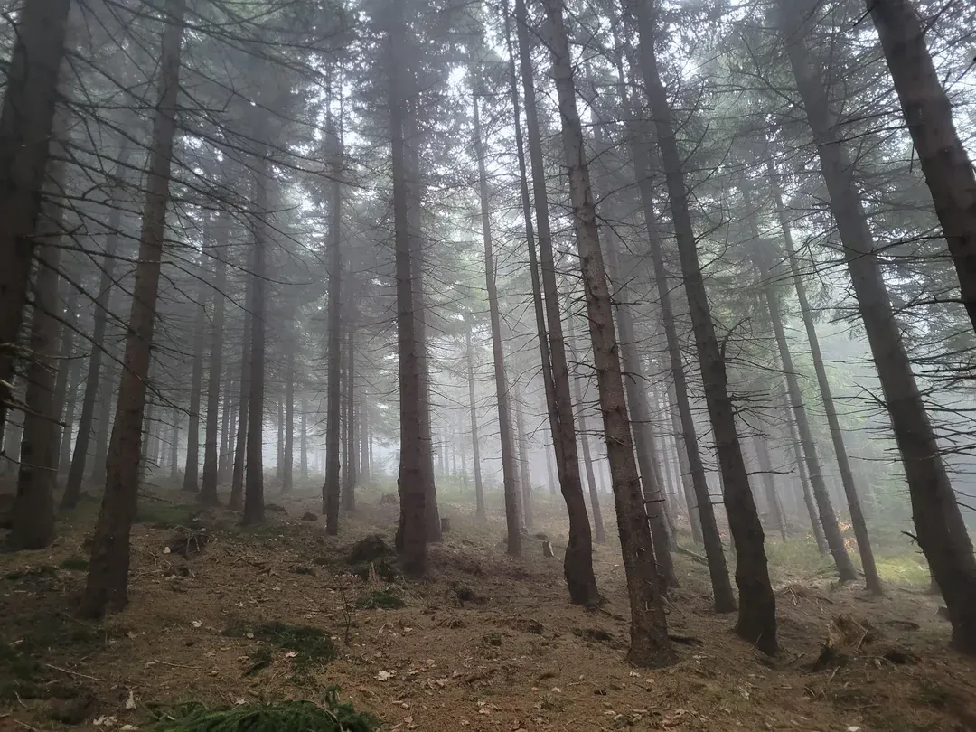 где-то на границе Польши и Чехии