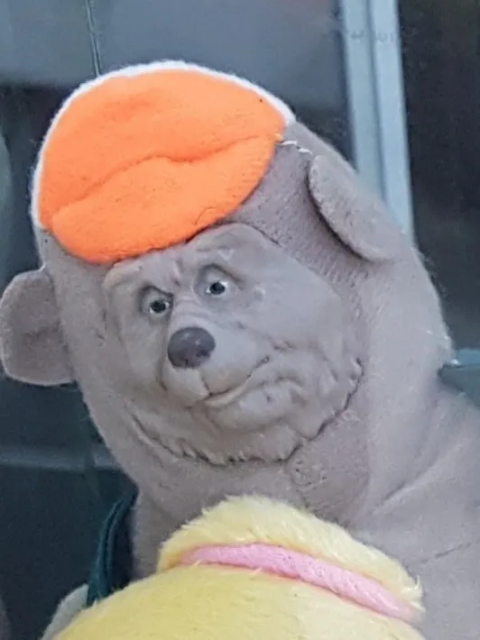 значит это всё зря...