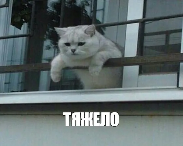 "I know that feel"