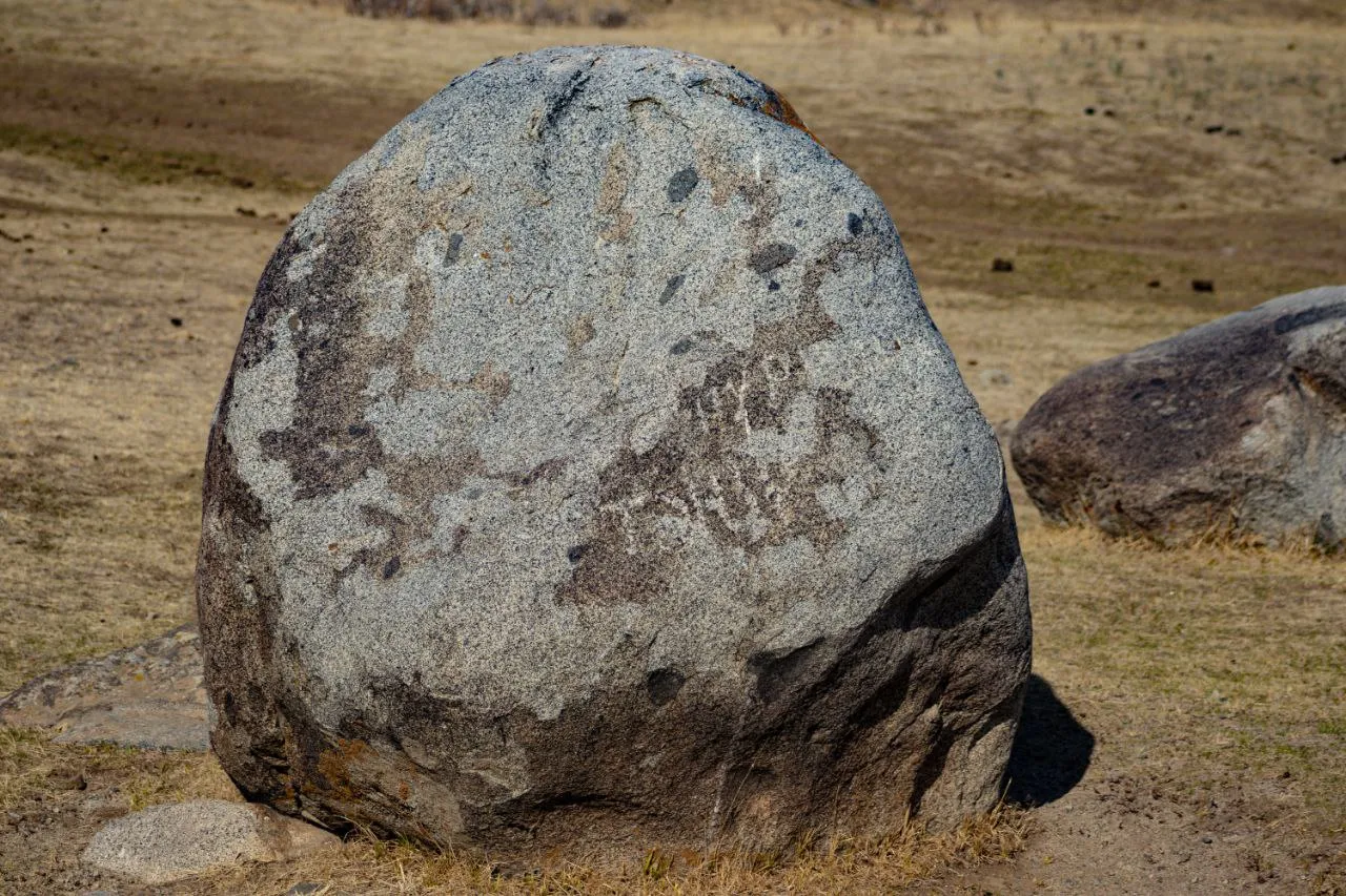 Местные Нуржан и Танир, тоже козлы