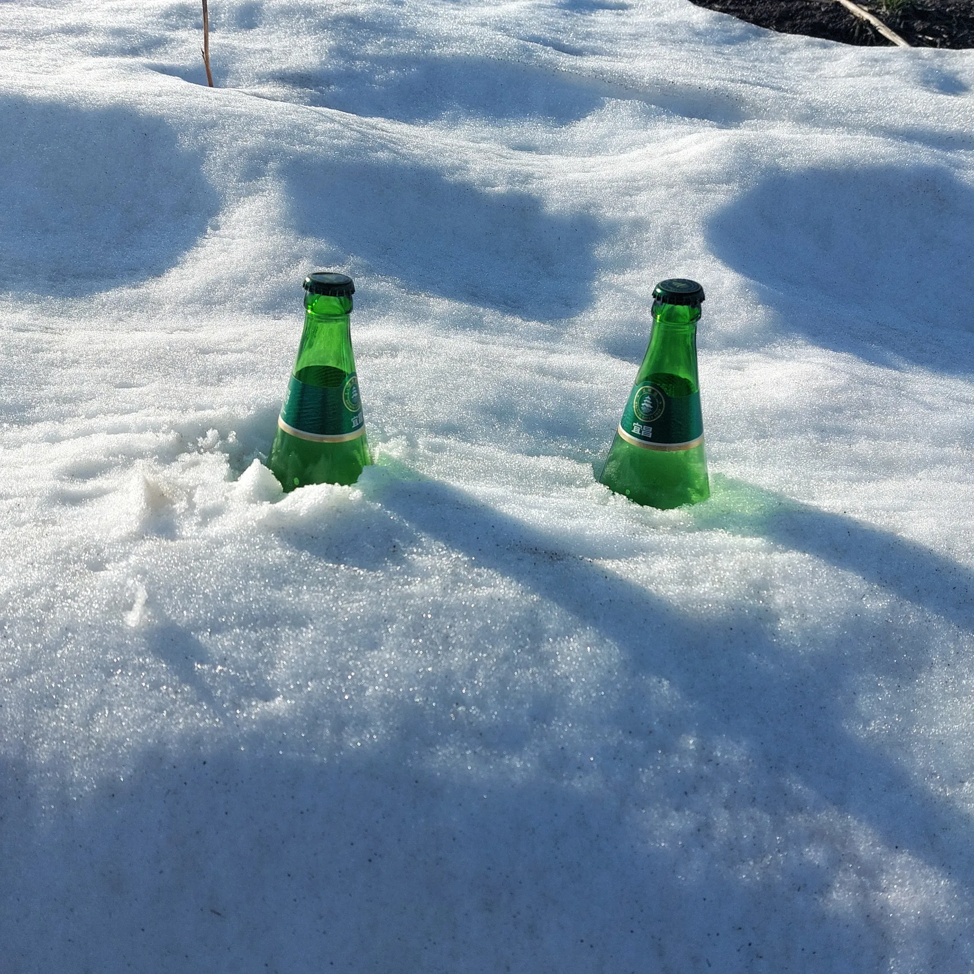 Солодовый лимонад