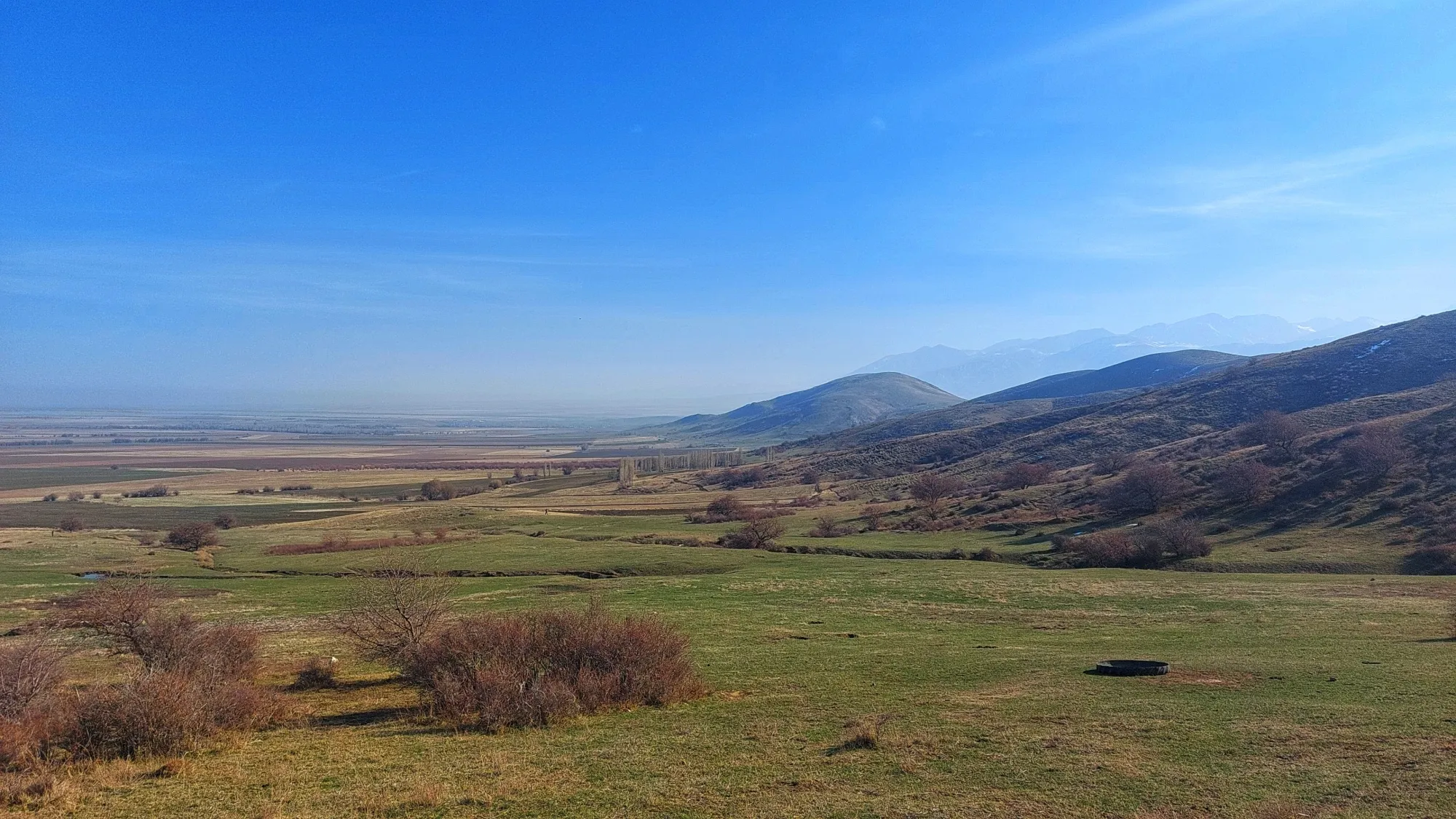 Весна чевото, а не осень.