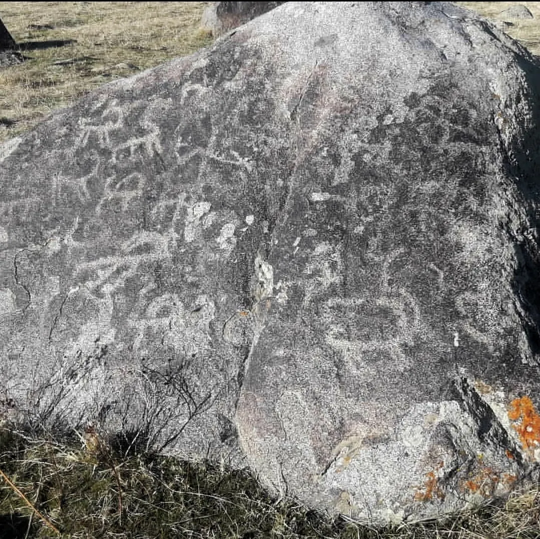 Зоопарк&nbsp;