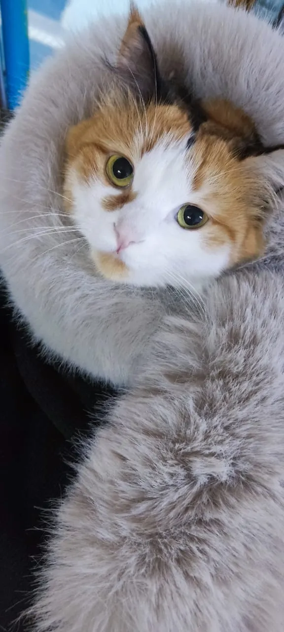 Зима пришло , 0°С