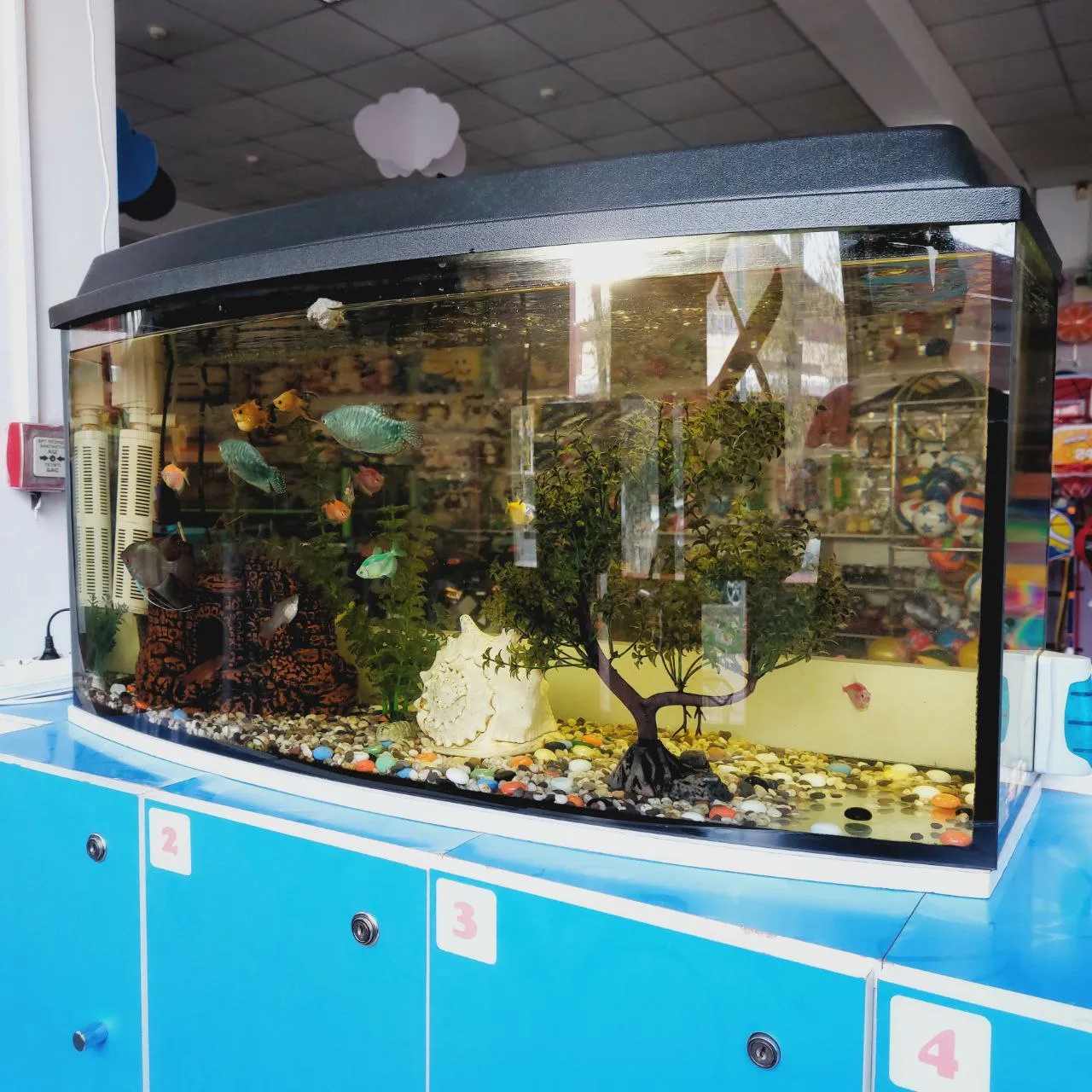 завтрак по расписанию