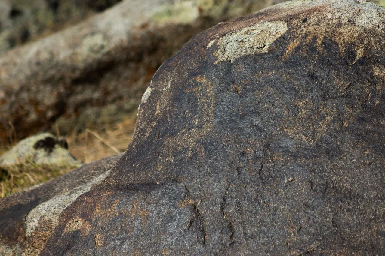 Рогатый козел