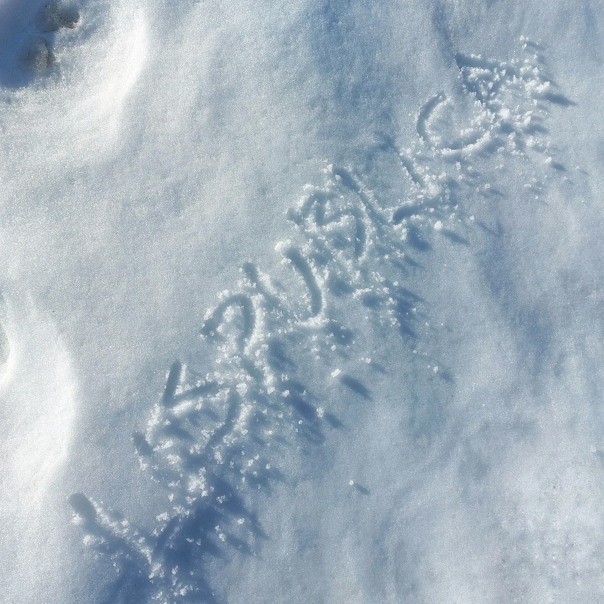 Рисовал пальцем&nbsp;