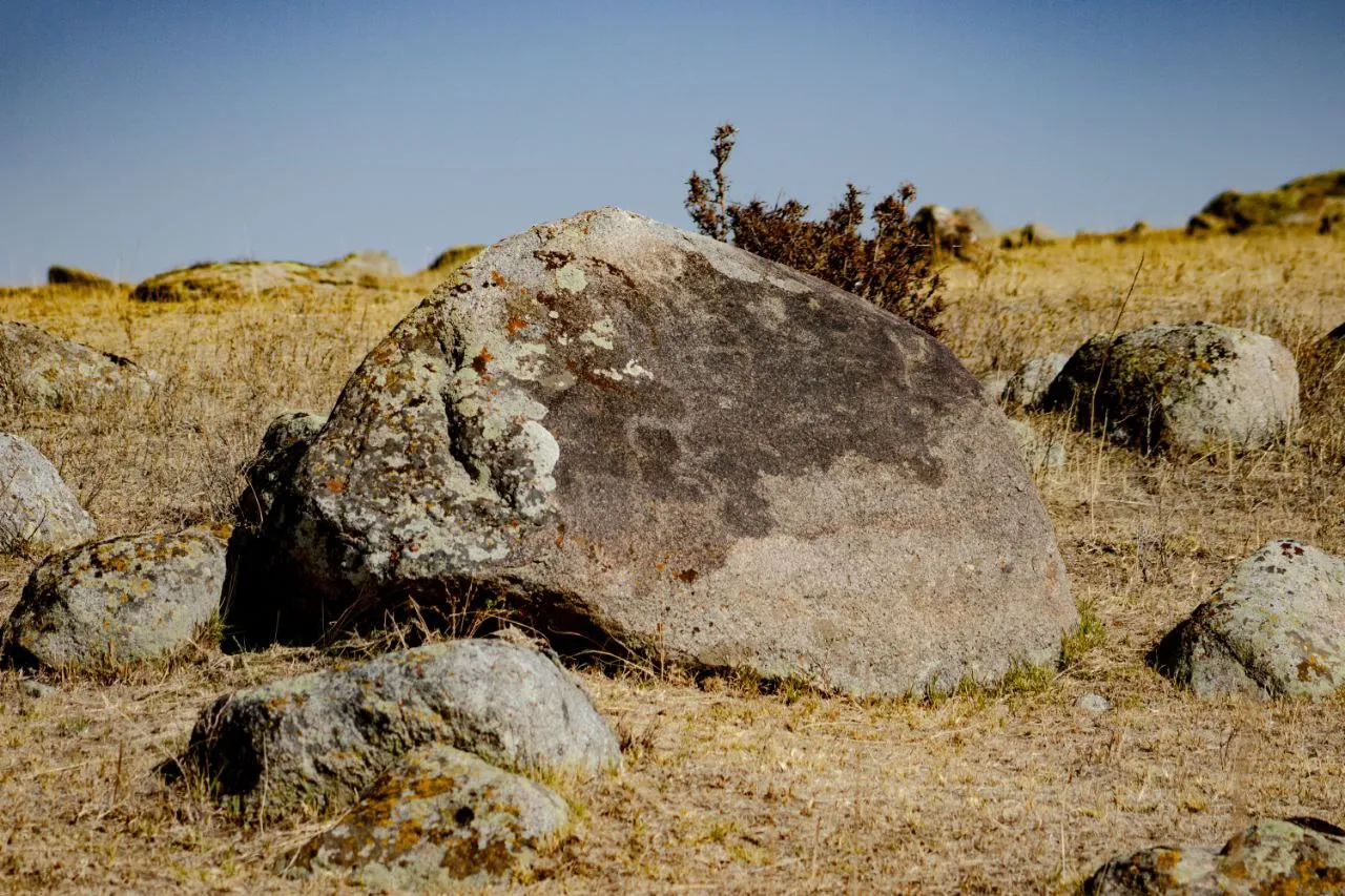 Тут было целое стадо козлов, но часть отвалилась