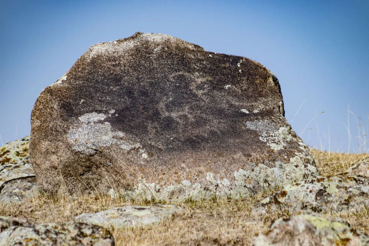 И тут снова козлы