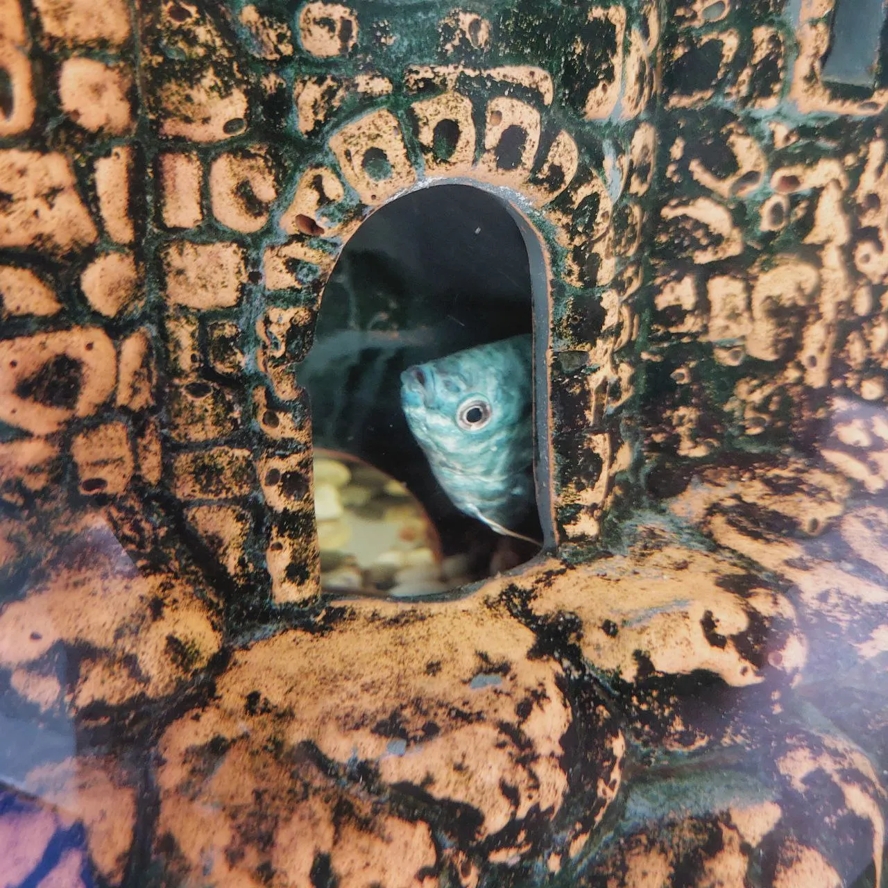 Вы кто такие?