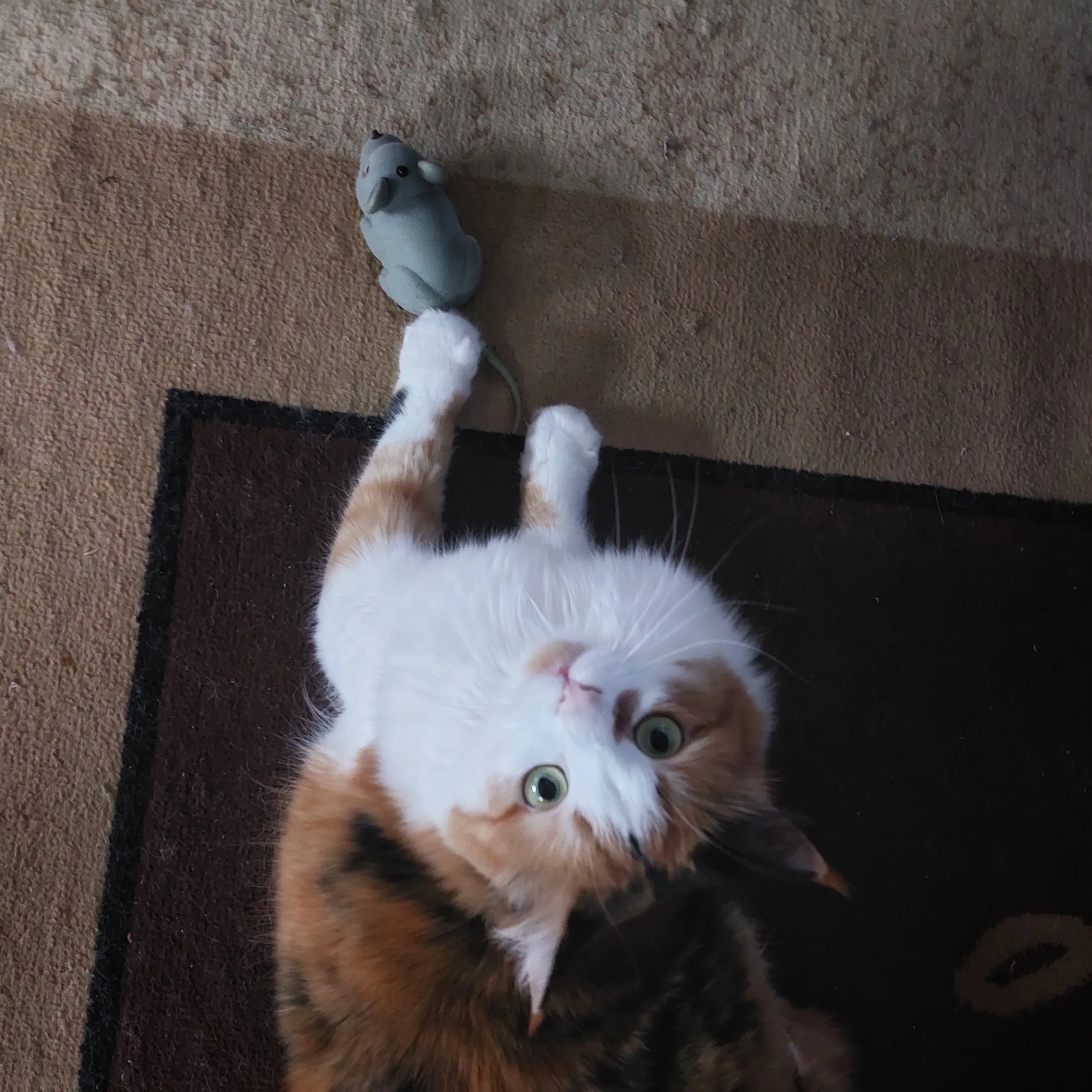 Маленькость