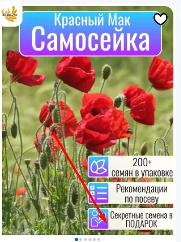 Интересненько, что за секретные семена )))