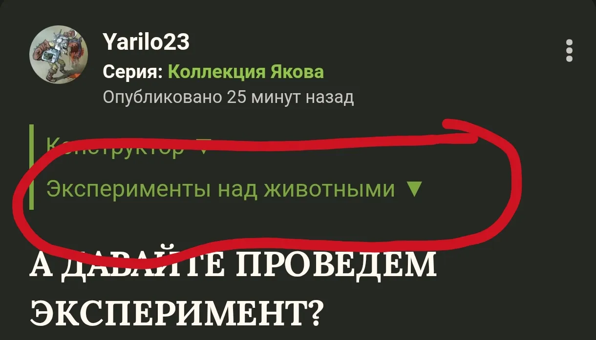 Над лисами?