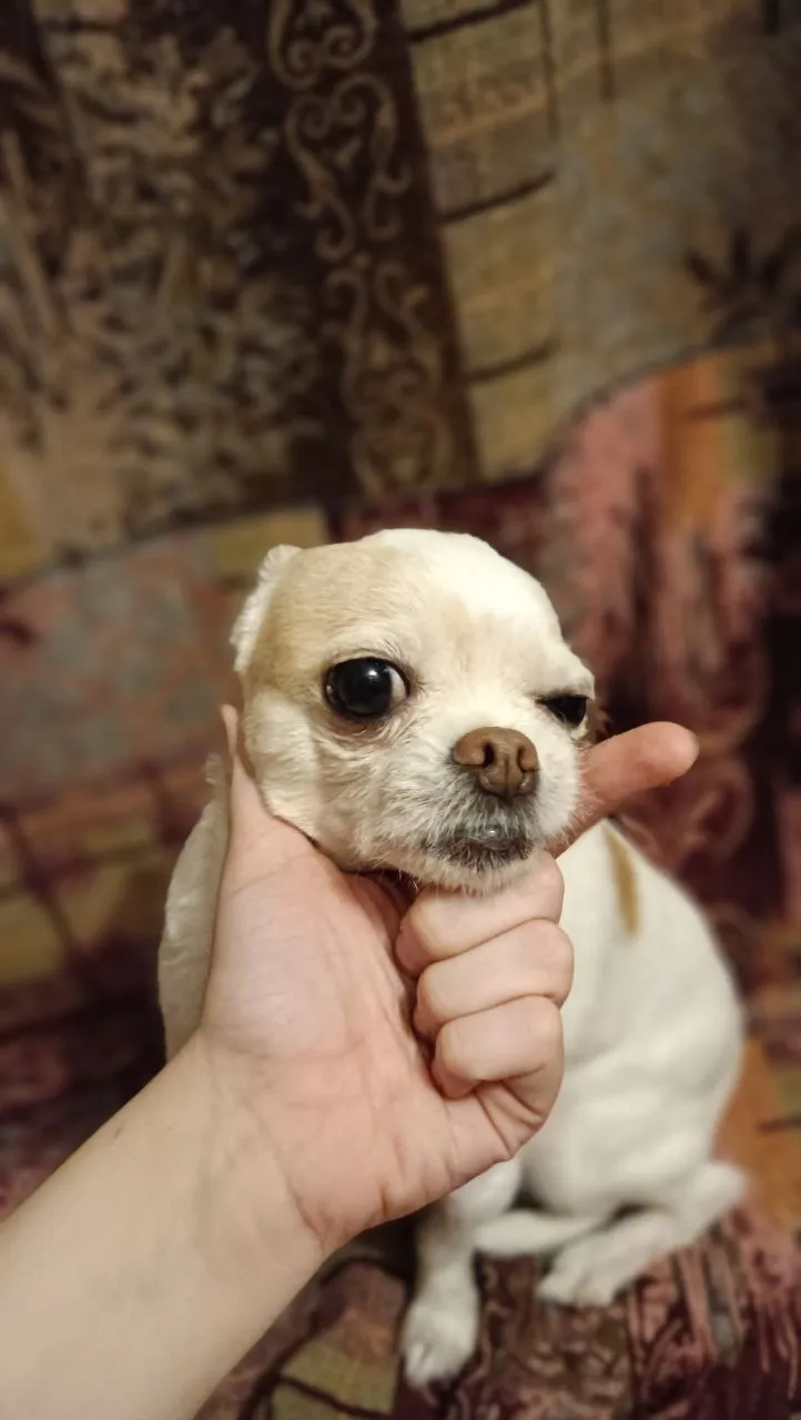 Детка, ты - космос!&nbsp;