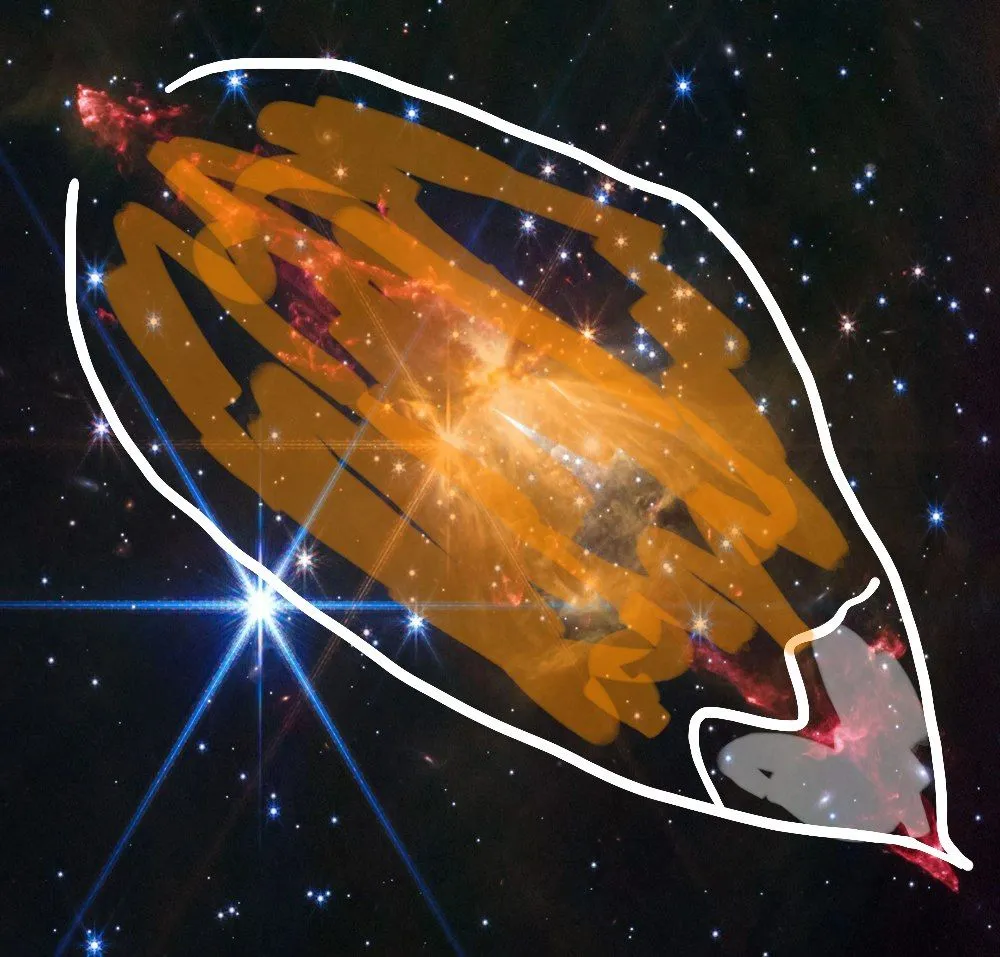 Лисы повсюду