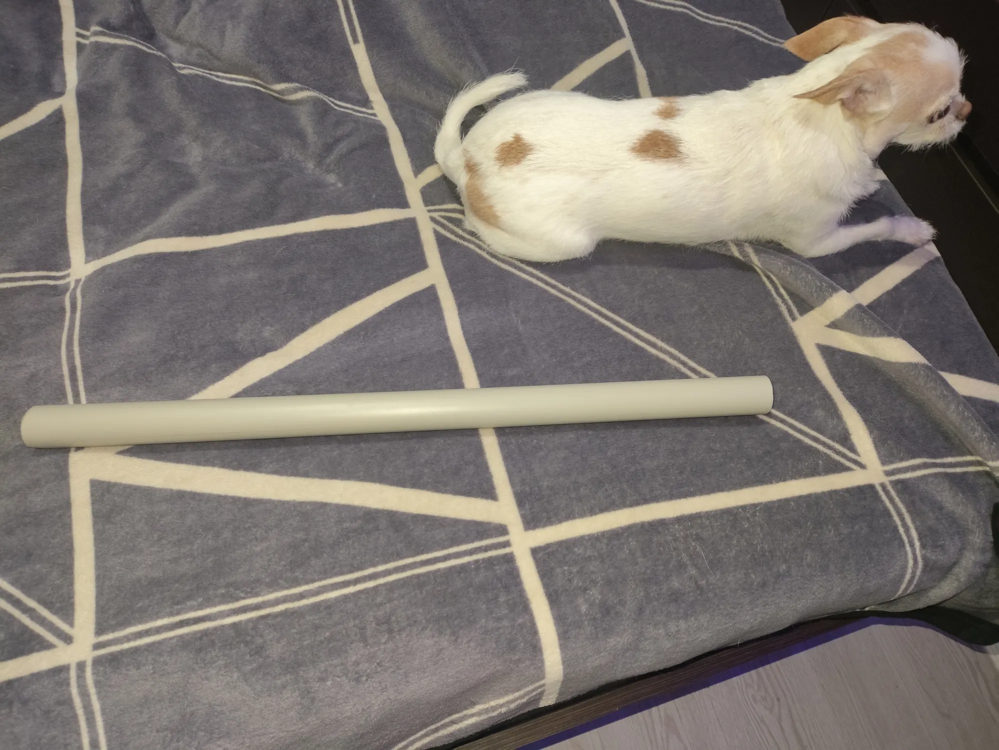 Личность для масштаба