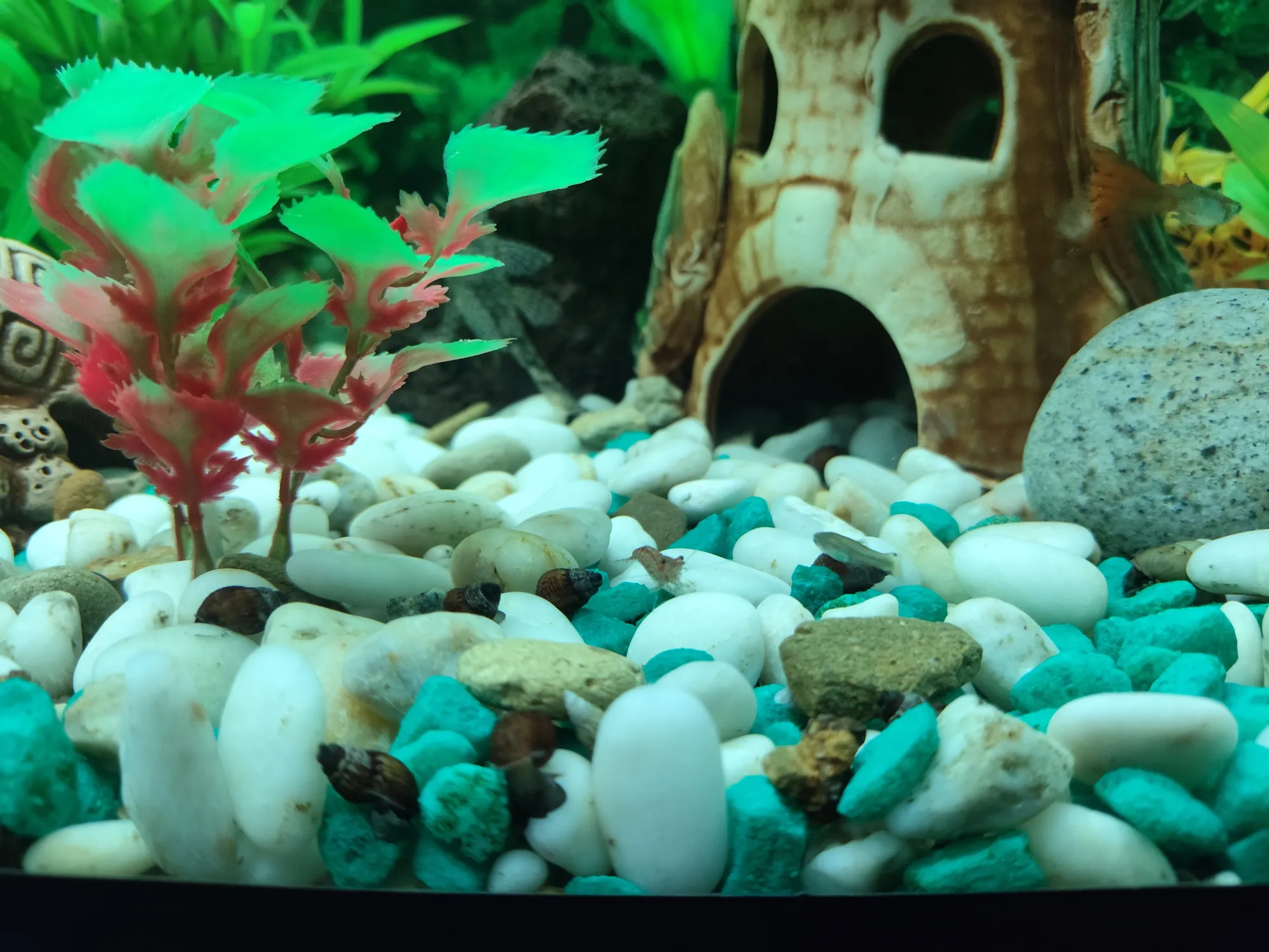 Йа креведко! Самозародившаяся.