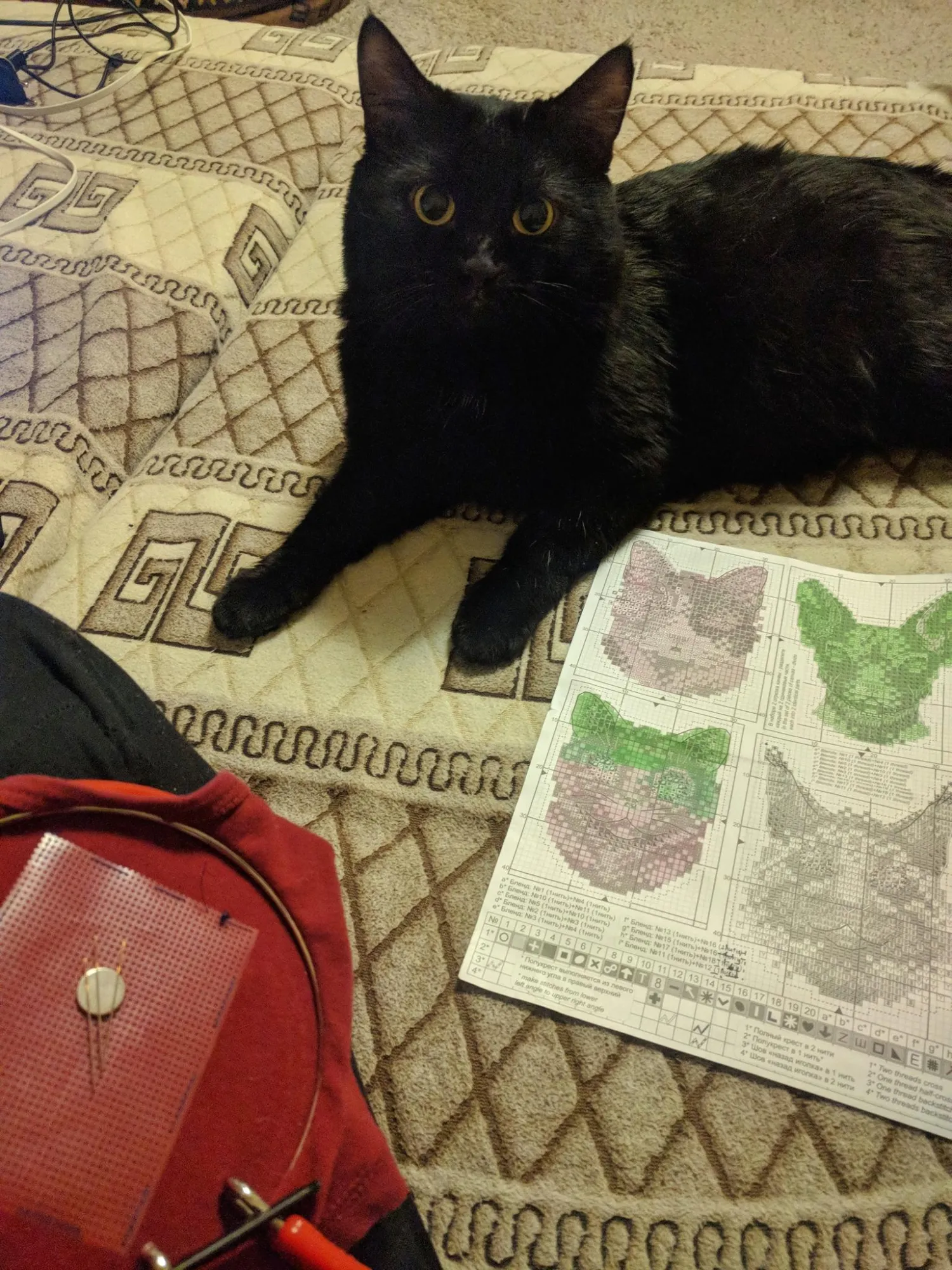 «когда-нибудь ты потеряешь бдительность...»