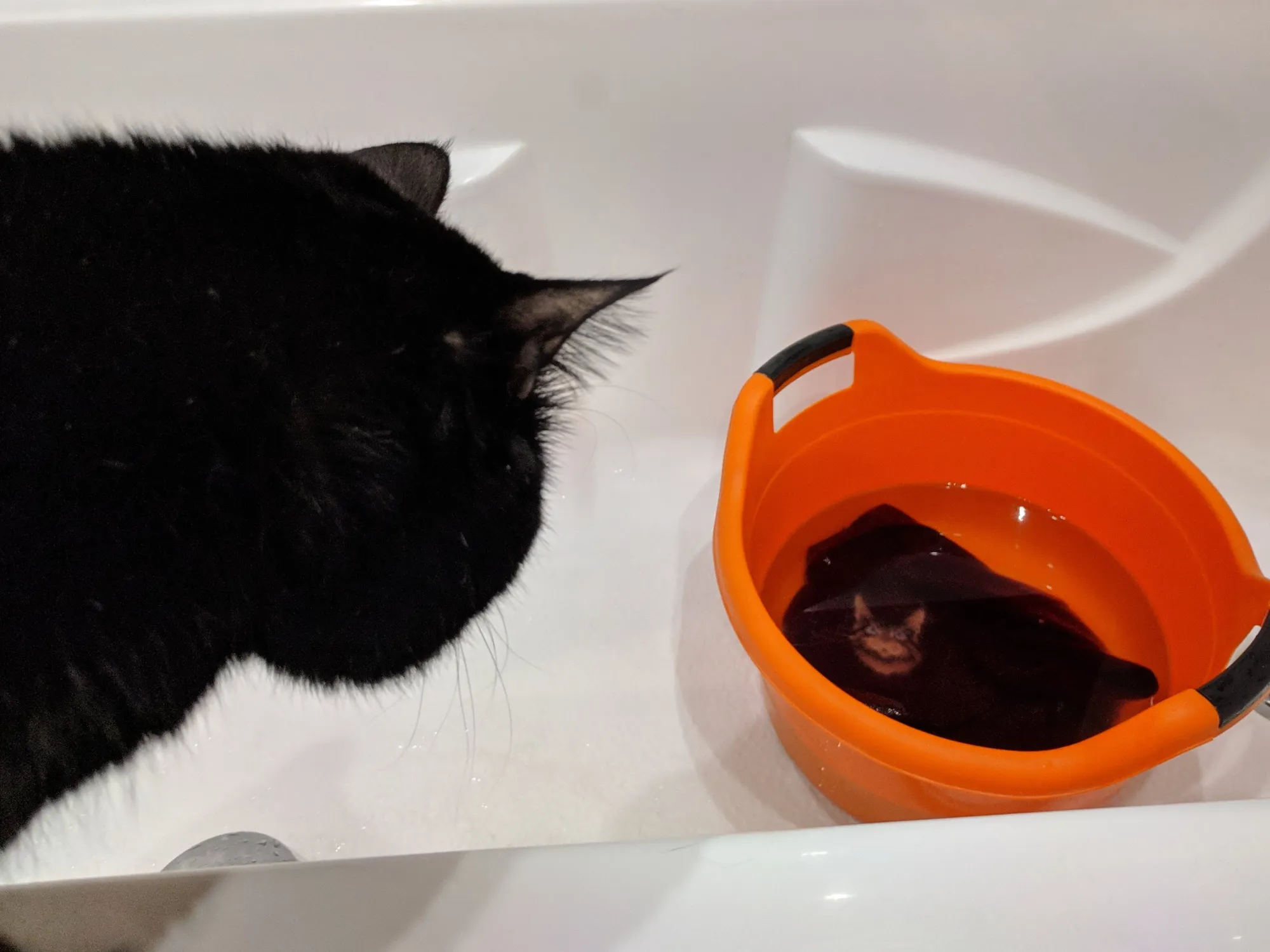 «брат, тебе нужна помощь?»