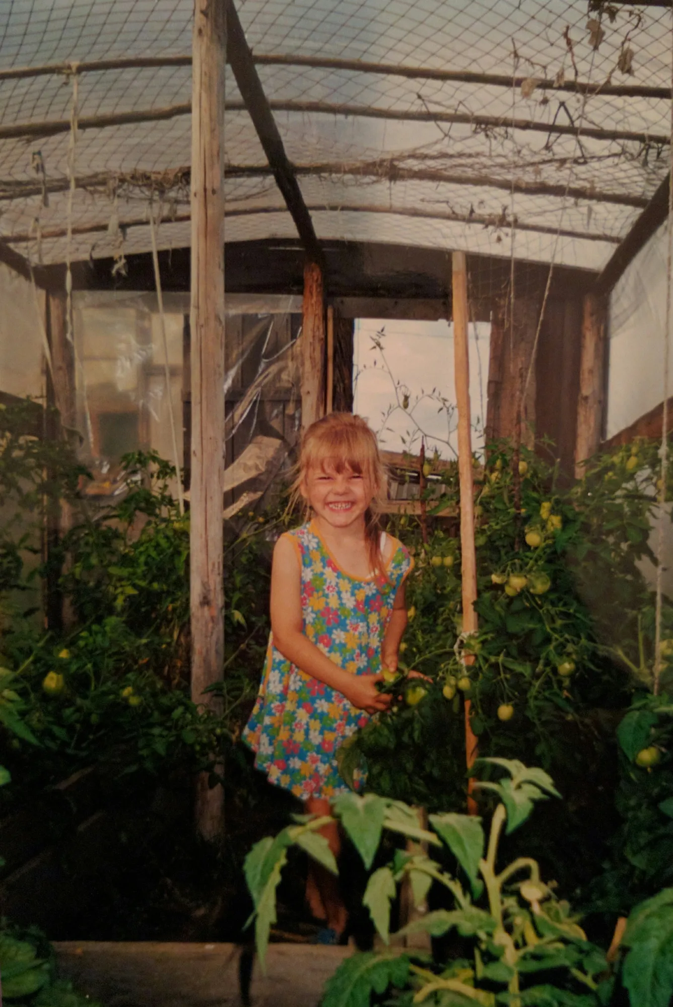 ммм, свои помидорчики