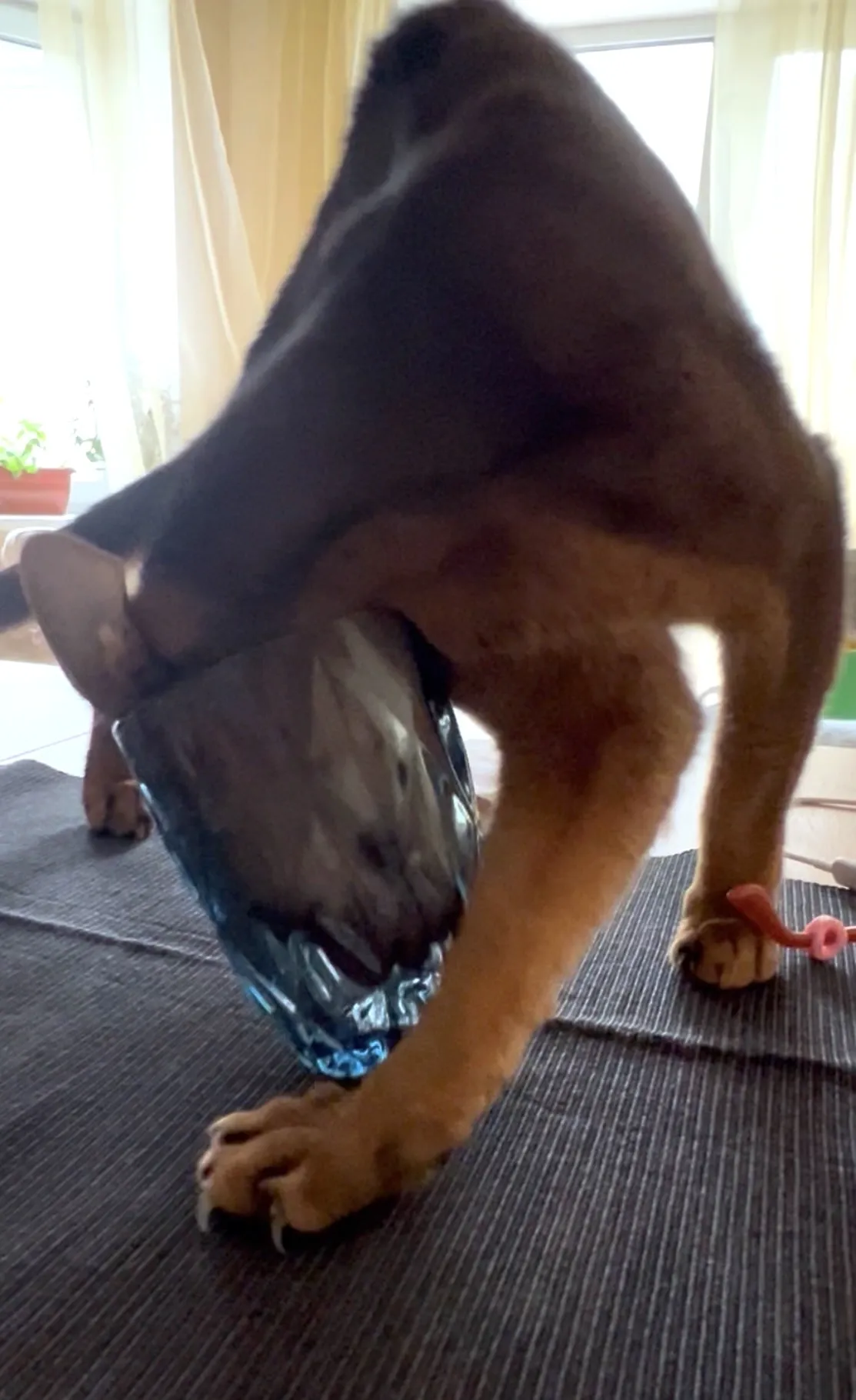 Кстати, если оставить стакан на тумбочке - то отчетный концерт будет включать в себя танцы со стаканом)