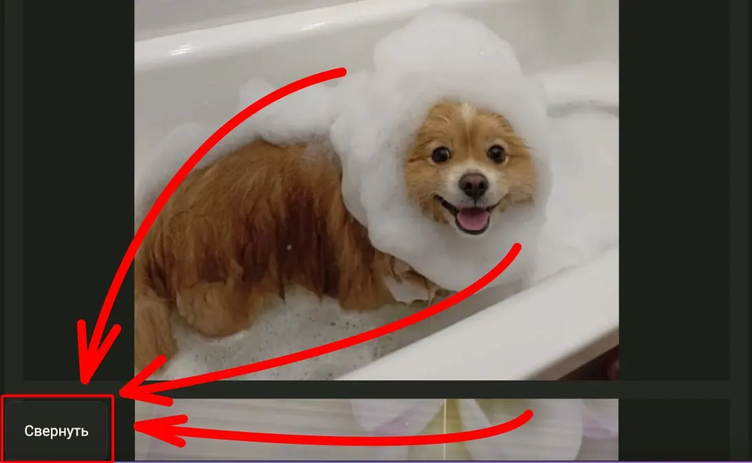 Ути какой лапочка!... Так, о чем это мы? Ах да, кнопка "Свернуть" для длинопостов