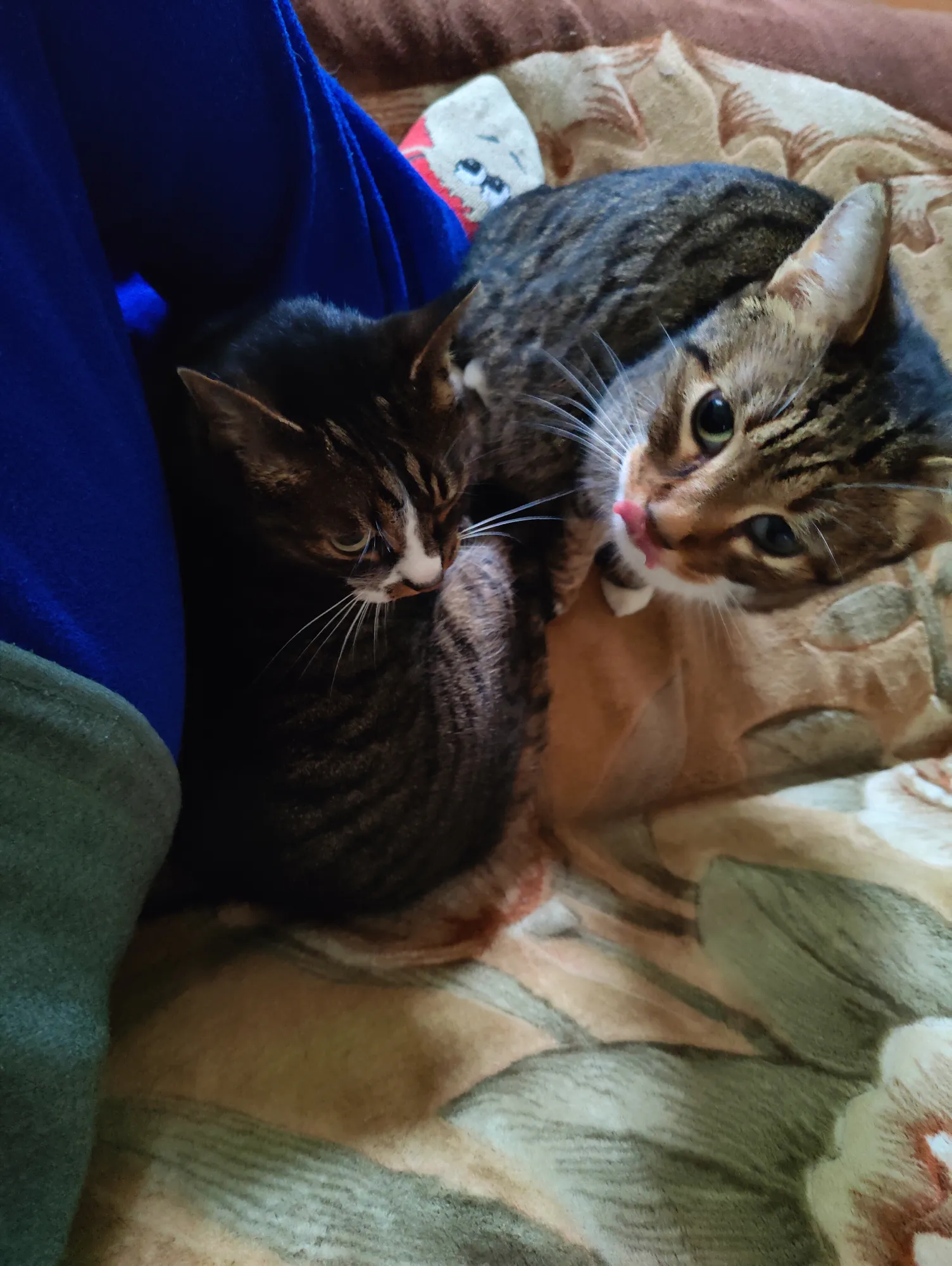 Позвала, чтоб сфотать))