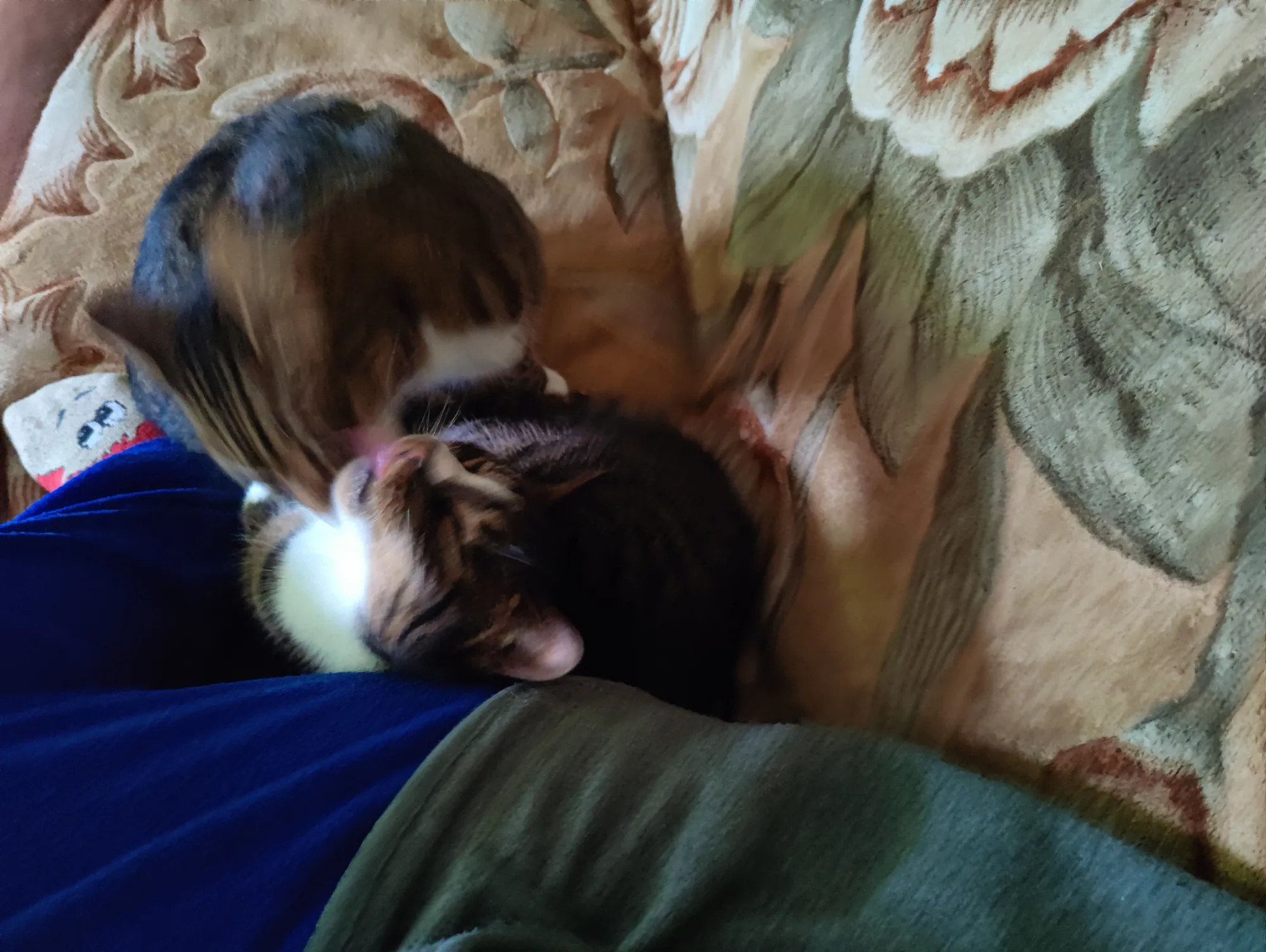 Непотребства прямо на мне&nbsp;