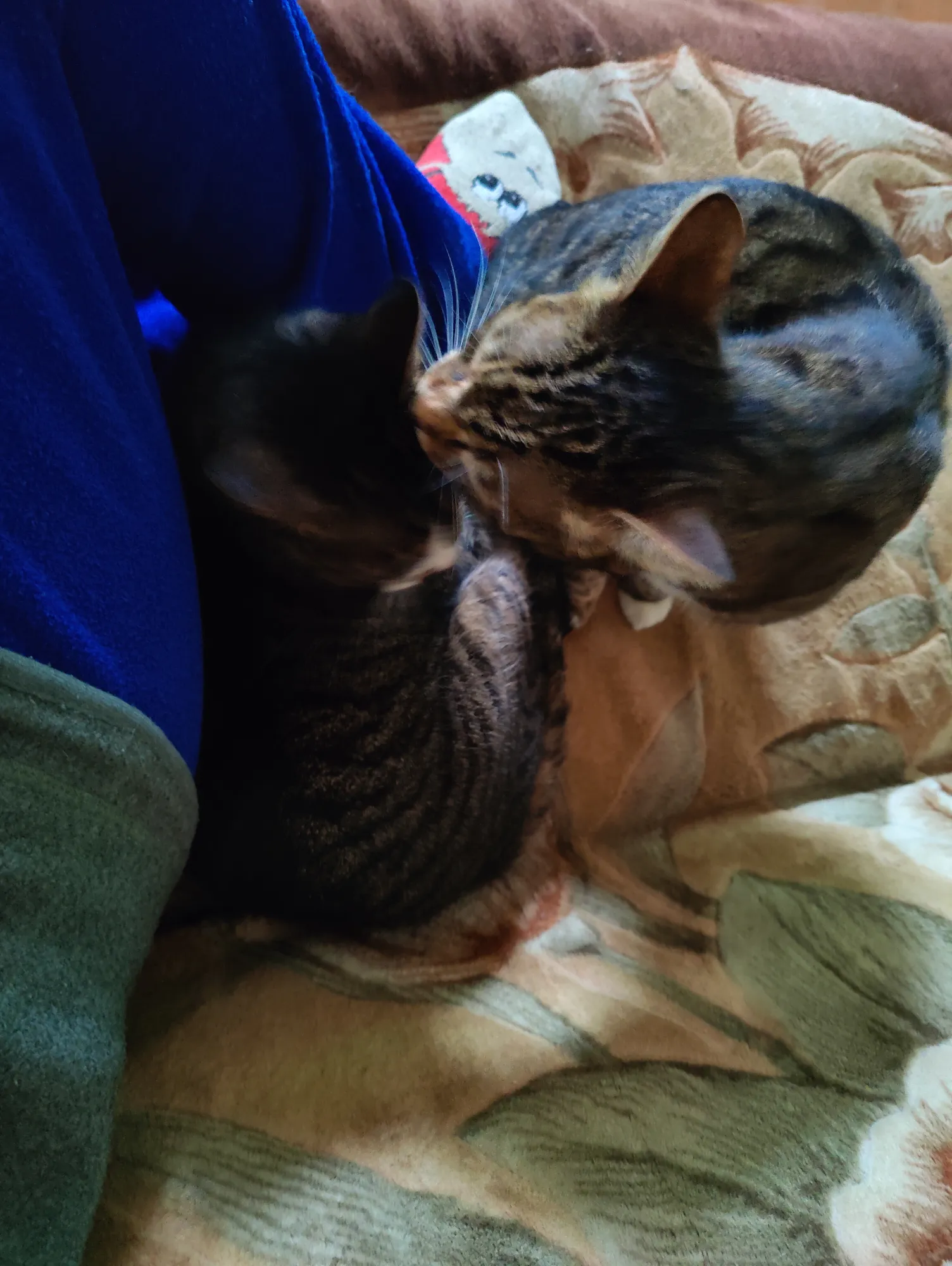 Некогда отвлекаться