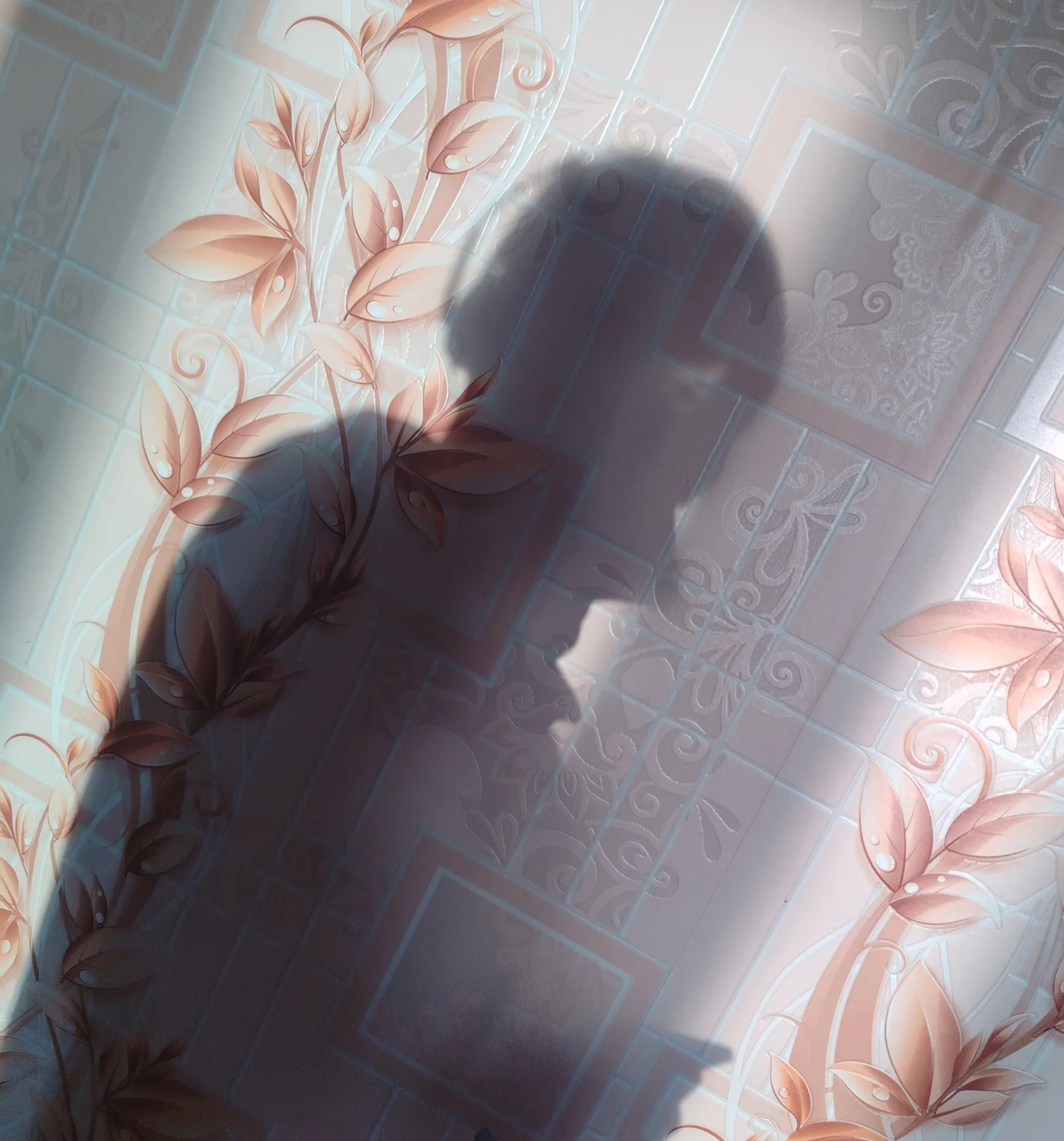 Глянь родная, как фотка моей тени случайно получилась (что я хотел в ТГ отправить). Штука на лице - это солнечный зайчик от телефона.